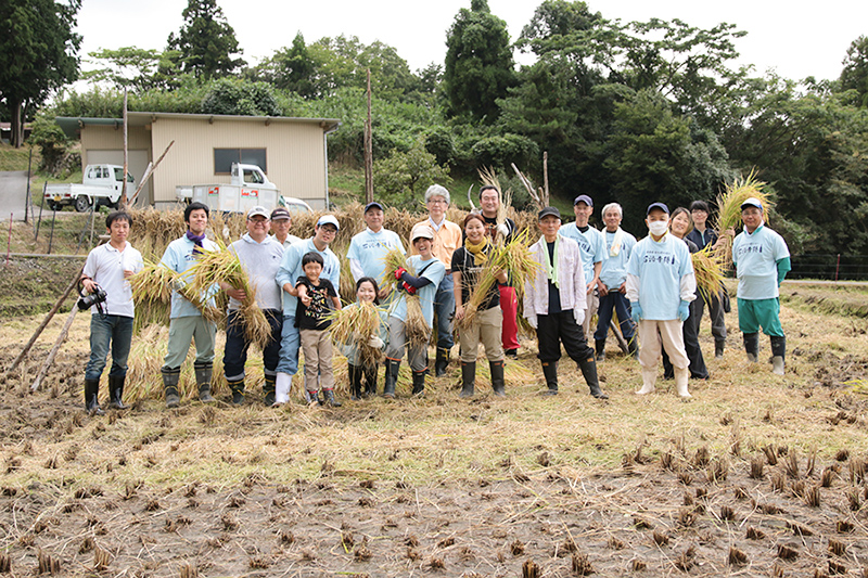 2017.9.23 体験オーナー第 3 回「稲刈り・藁草履づくり」