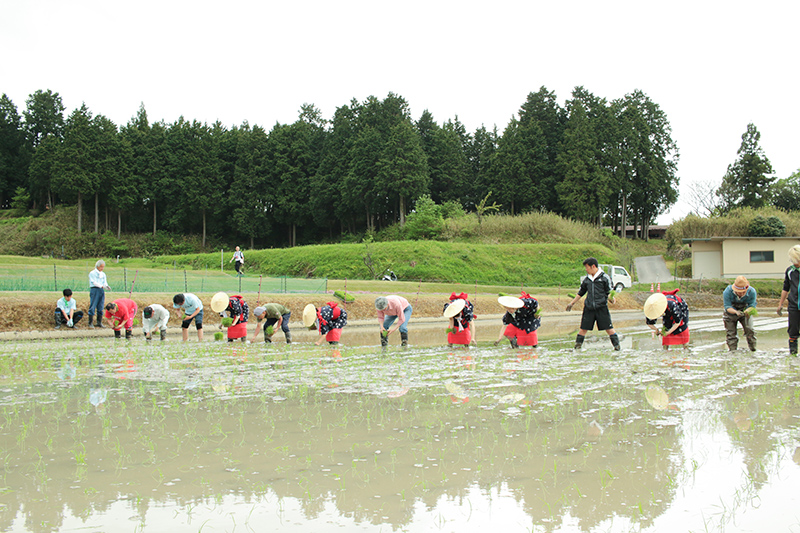 第一回「田植え・百済寺来訪」