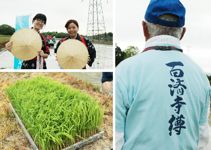 第一回「田植え・百済寺来訪」